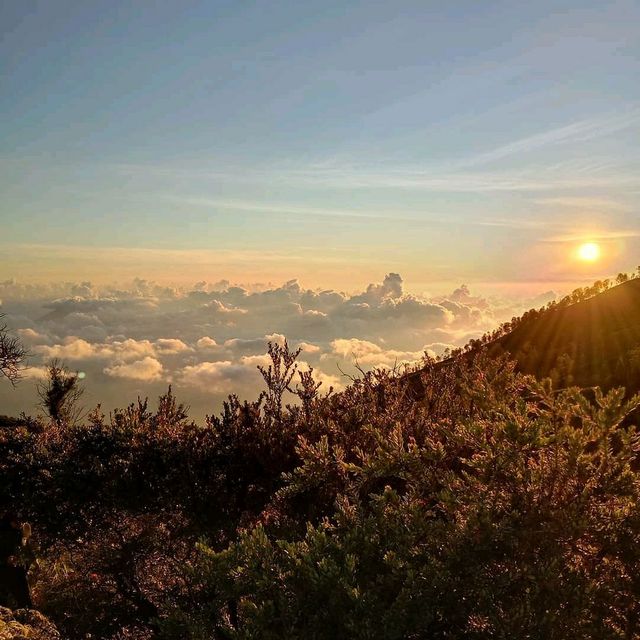 Mount Ijen