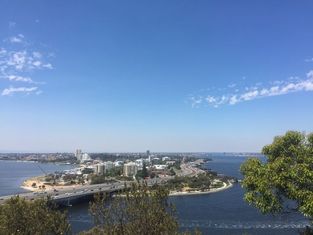 beautiful Kings Park