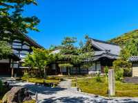 高台寺で優雅な竹林を満喫