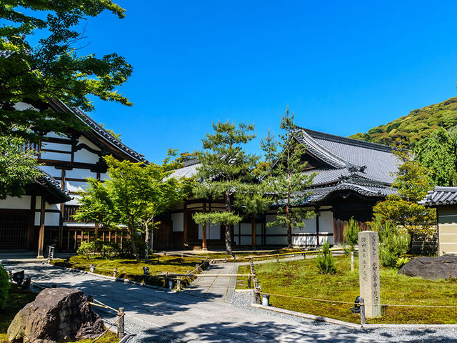 高台寺で優雅な竹林を満喫