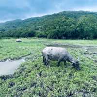 貝澳 JK Club Glamping