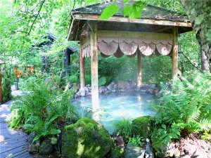 Loong Hot Springs Spa