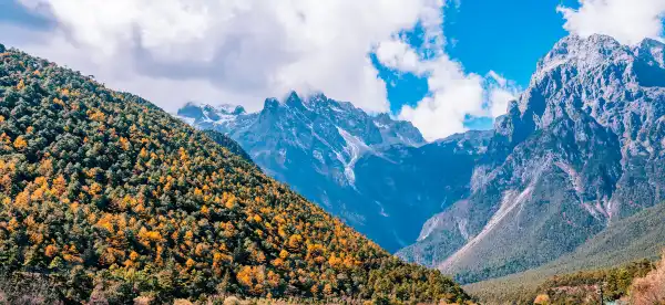 玉竜ナシ族自治県