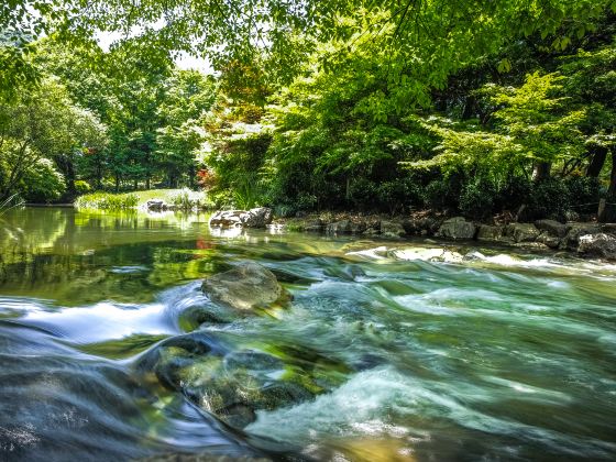 太子湾公園（プリンスベイパーク）