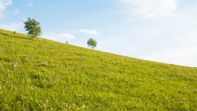 濟州島牛島+城山日出峰+月汀裡海邊+鹹德海水浴場【中文包車】