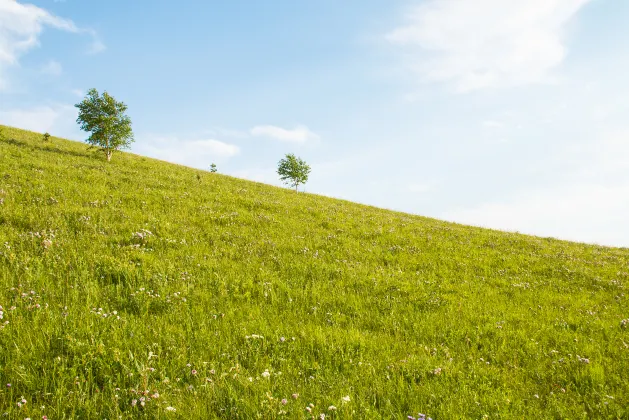 Мотели в г. Намчеджу