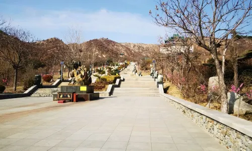 선고정