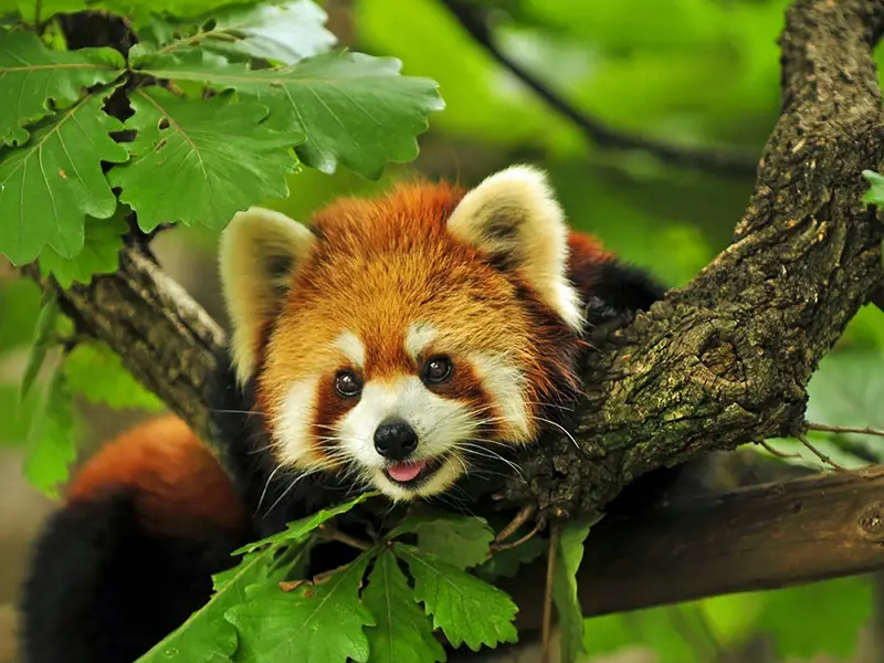 寧波野生動物園