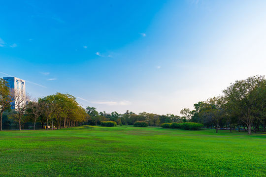 Central Park