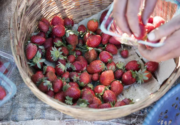 Бутик Отели в г. Фуян