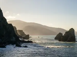 Goat Rock Beach