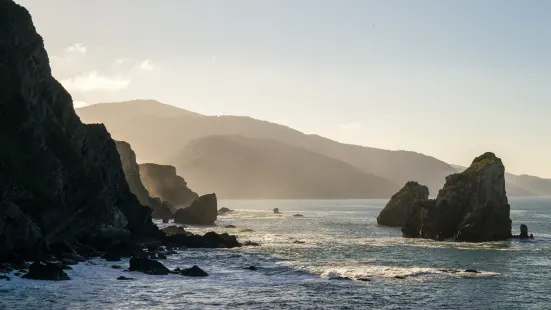 Goat Rock Beach