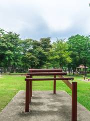 xianghu Wetland Park