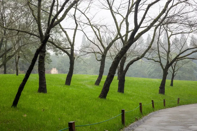 Апартаменты в г. Штутгарт