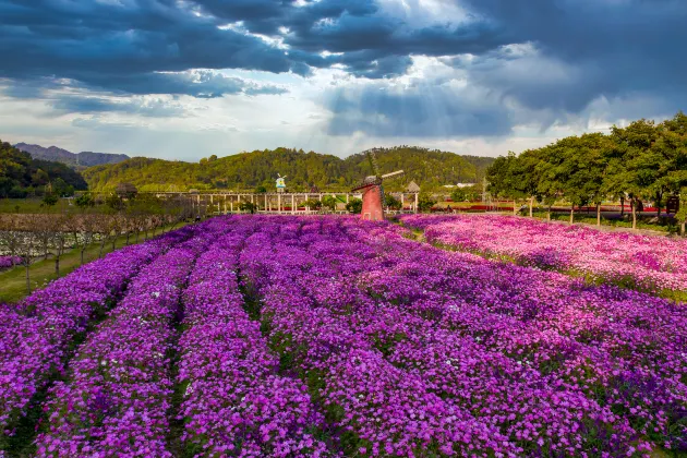 Отели в районе Центр города и Xiuhuguangchang
