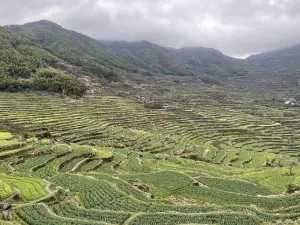 푸즈산 관광지