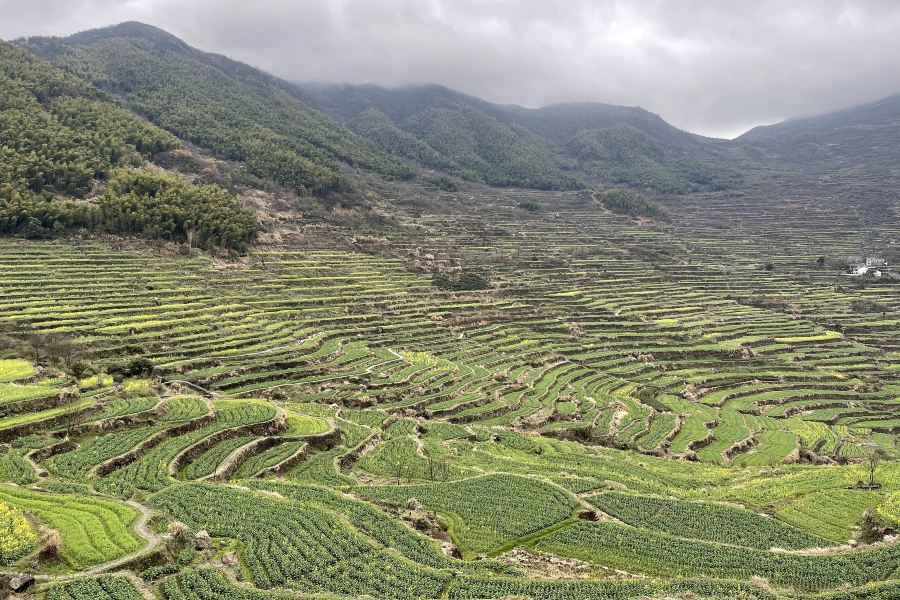 覆卮山景區