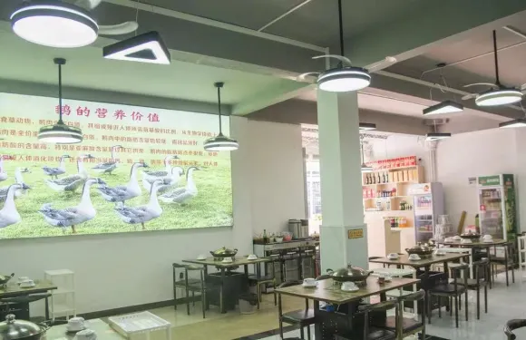 天然醉鵝（亞龍灣六盤店）