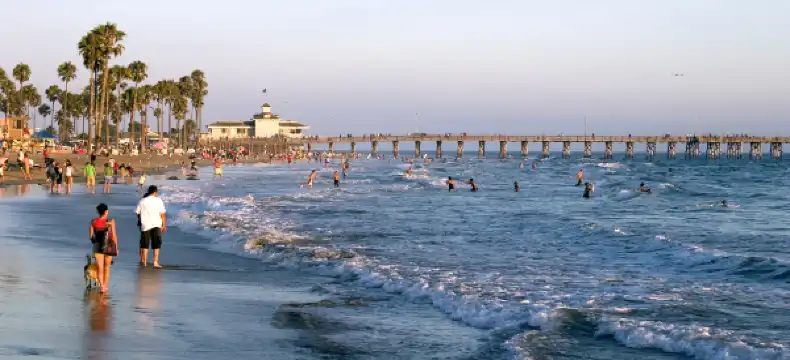 L.V.X Collection in Newport Beach