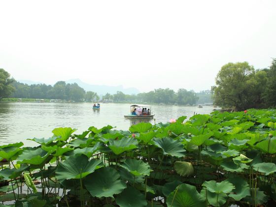 Wanshu Garden