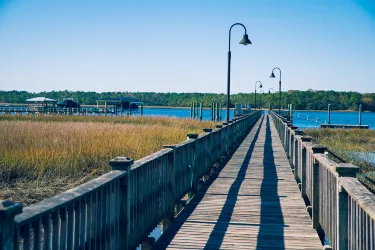 Wando