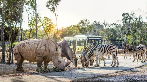 富國島珍珠野生動物園