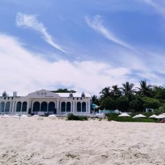 SEESEA Again User Photo