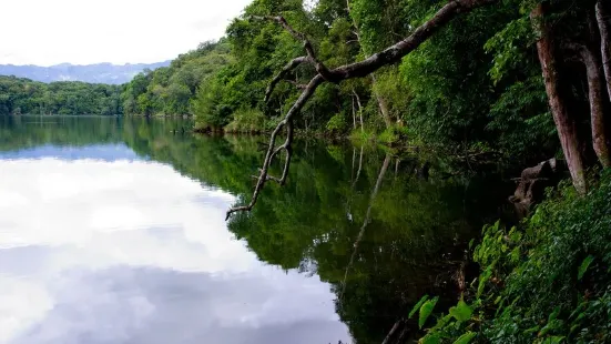 茂密的热带雨林，孪根倒挂的千年古树，把清澈文静的勐梭龙潭拥入