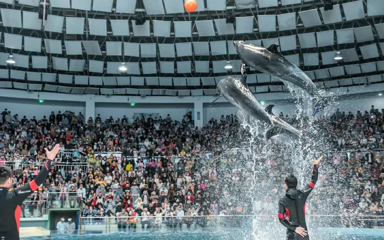 5_Changsha Sea World