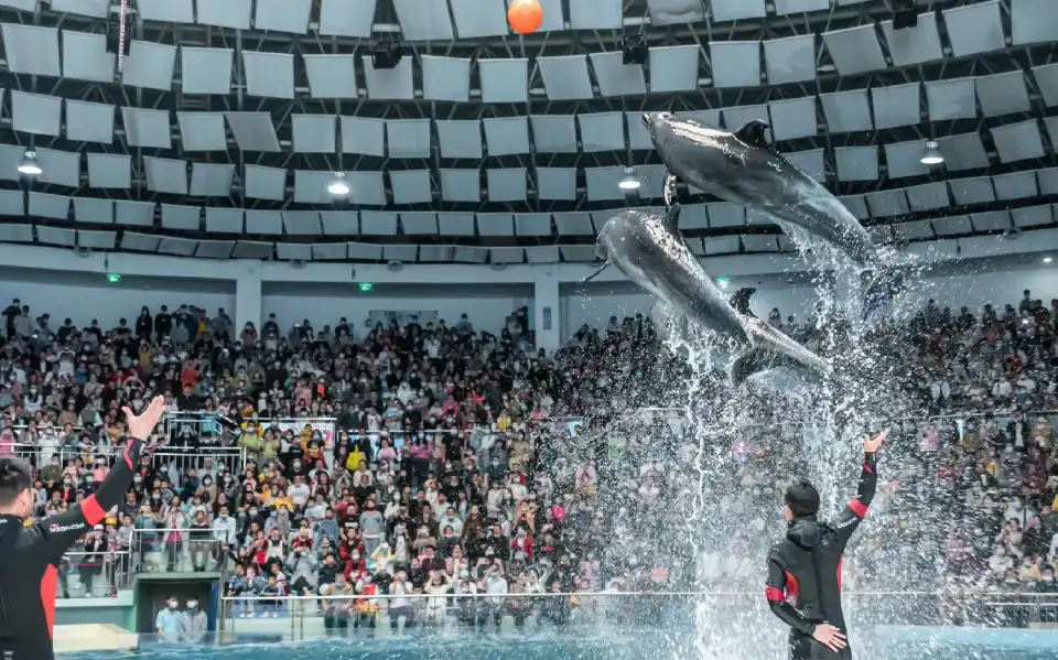 5_Changsha Sea World