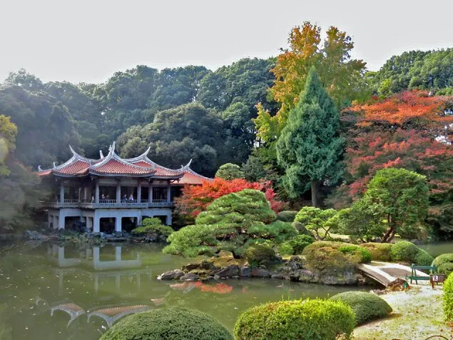 도쿄여행