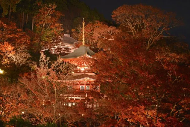 大阪紅葉 勝尾寺