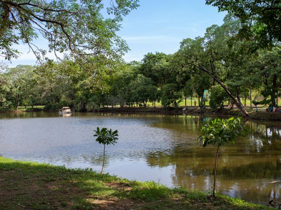 Wachirabenchathat Park (Rot Fai Park)