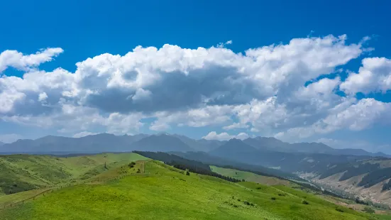 Agonggaiti Grassland