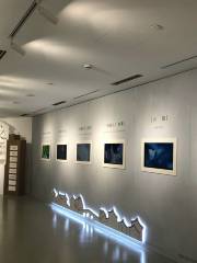 Diyuan Gallery