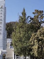 Yan'an 48 Martyrs' Cemetery