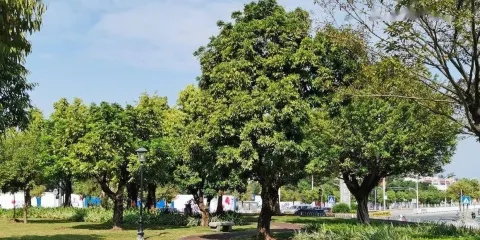 榕園
