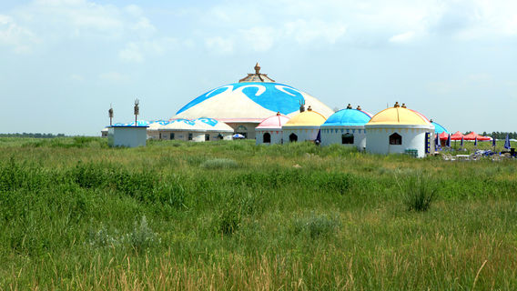 ทุ่งหญ้ากลางดง