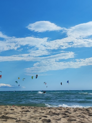 Spiaggia Libera Castel Porziano - Cancello 2