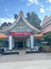 熱帶雨林民族文化博物館