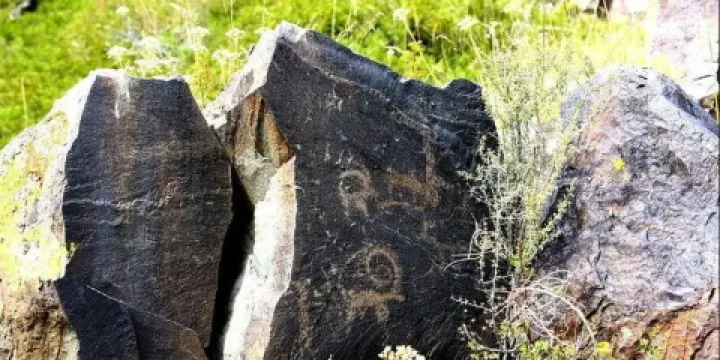 垂吉爾塔格山岩畫