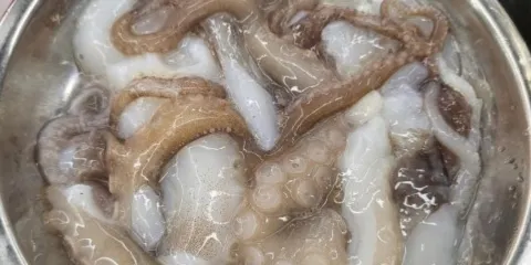 老朱富貴海鮮火鍋（寶信店）