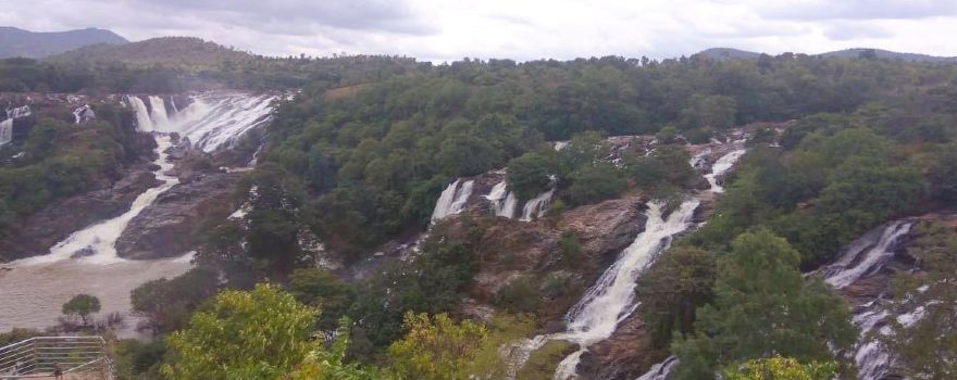 Bharachukki Waterfalls