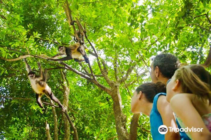 푸에르토모렐로스데이 투어