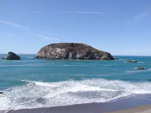 Harris Beach State Park