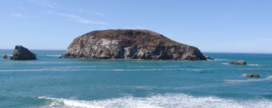 Harris Beach State Park