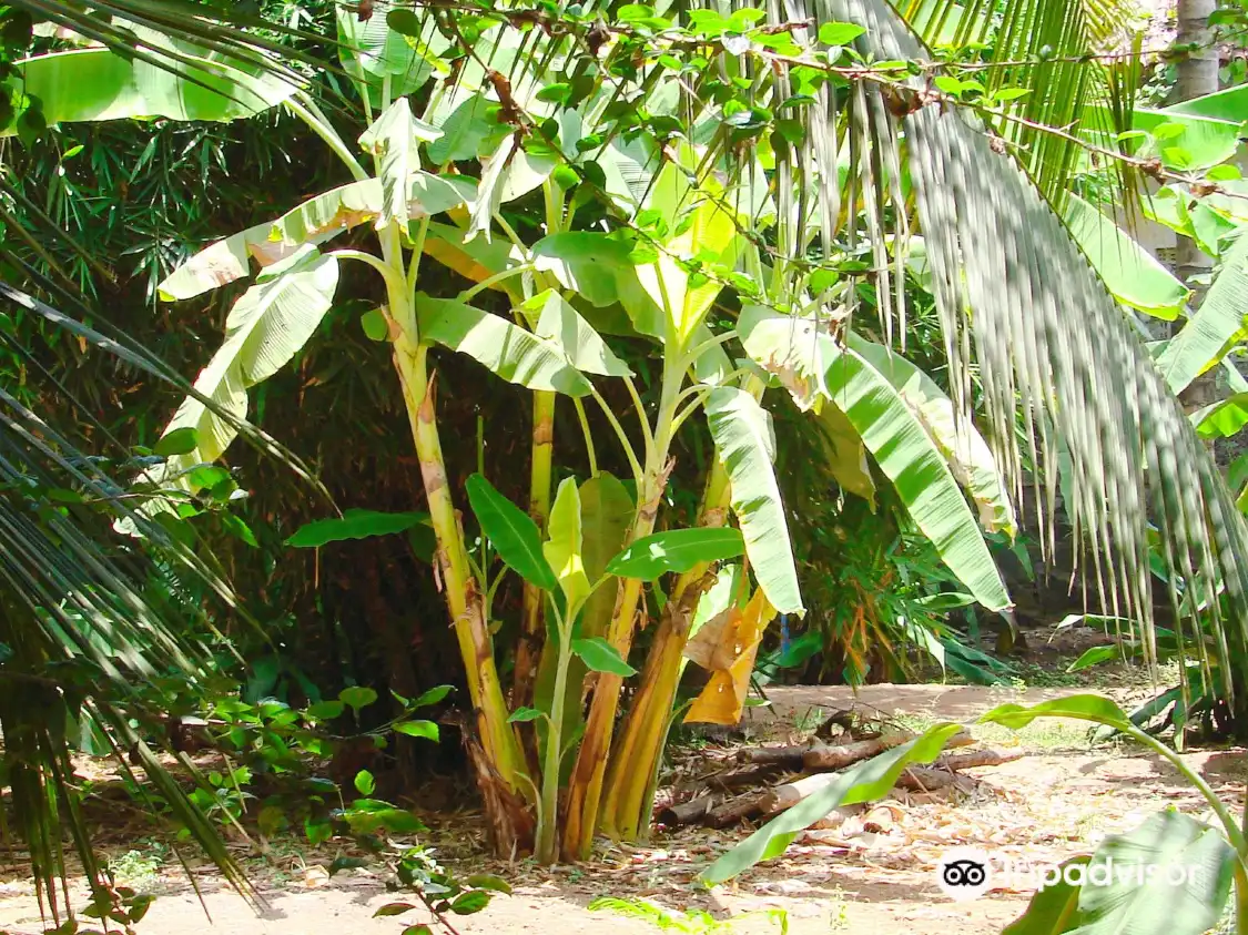 Hotels near Nagaon Beach