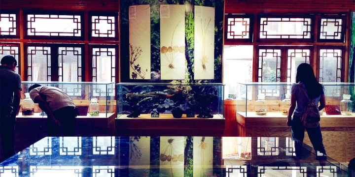 Xijiang Miao Museum