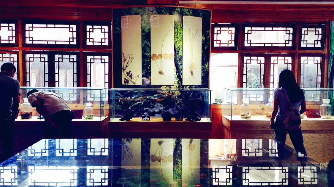 Hotels near Xijiang Miao Museum
