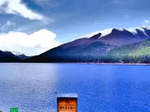 Cuo Mu Ji Ri